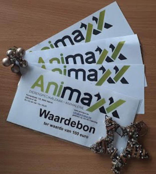 Animaxx Wervik